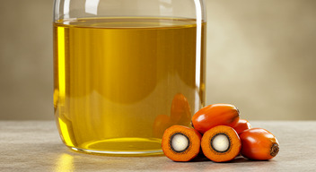 Palm Kernel Oil