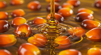 Palm Oil