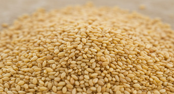 Sesame Seeds